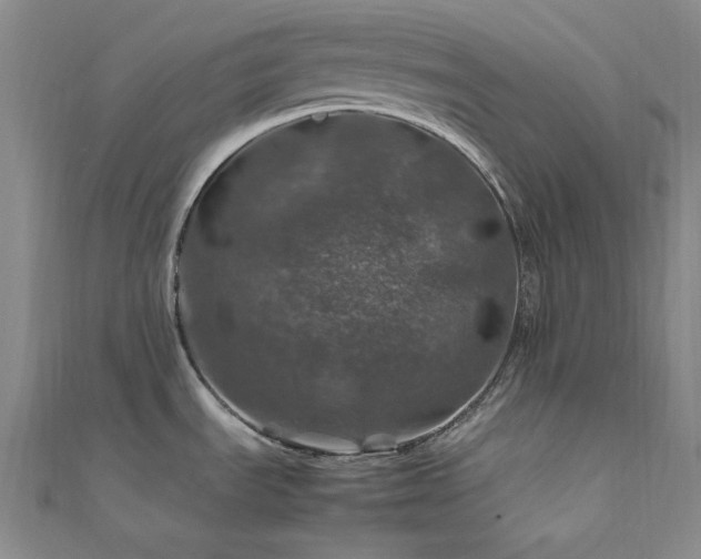 X0000112011535200908031256