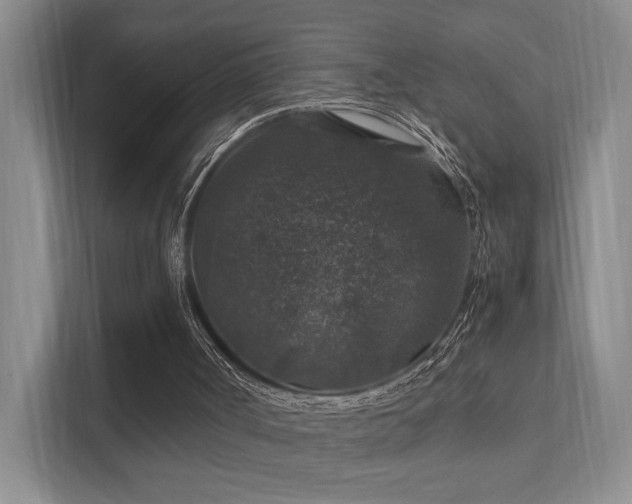 X0000112010002200908101351