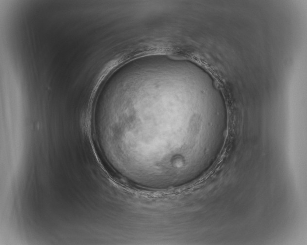 X0000112010003200908101351