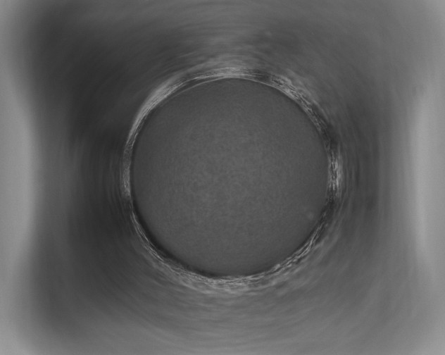 X0000112010004200908101351