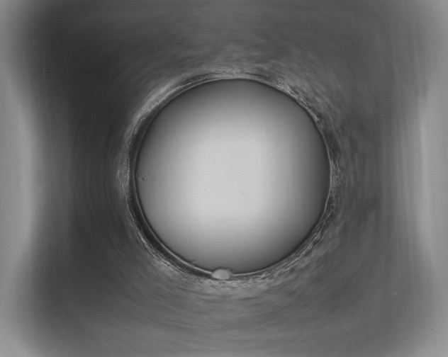 X0000112010005200908101351