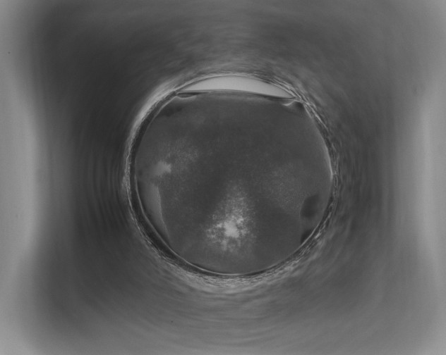 X0000112010006200908101351