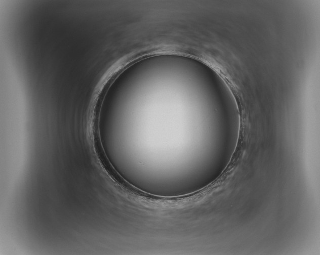 X0000112010007200908101351