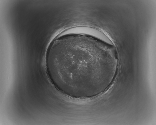 X0000112010008200908101351