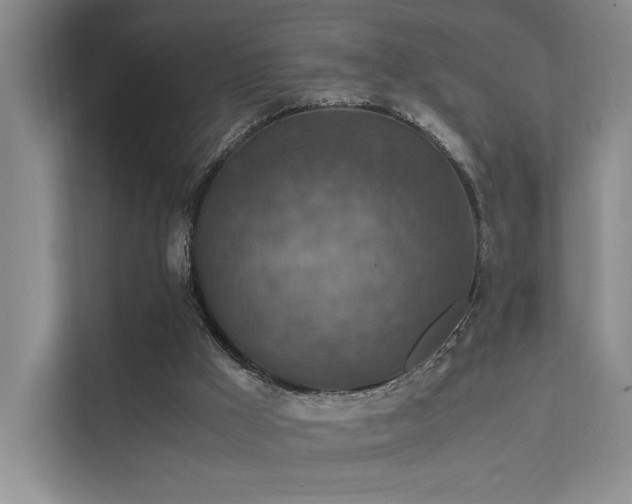 X0000112010009200908101351