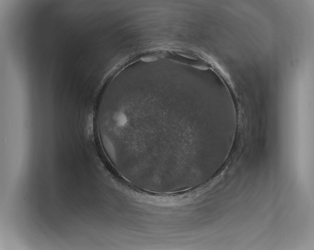 X0000112010010200908101351