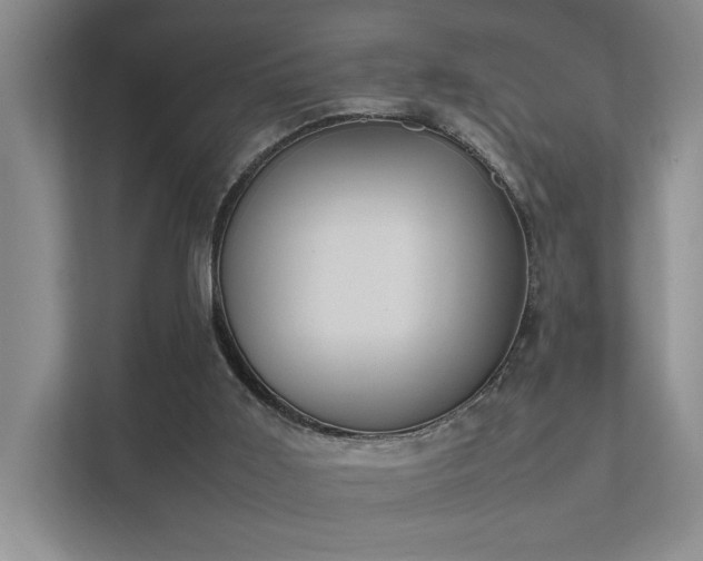 X0000112010011200908101351