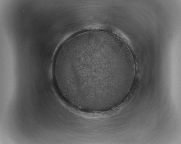 X0000112010012200908101351