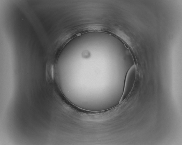 X0000112010013200908101351