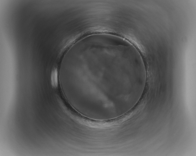 X0000112010014200908101351