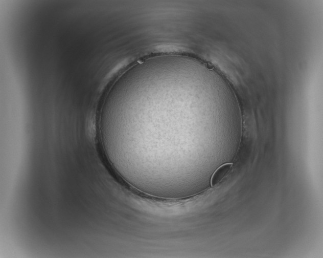 X0000112010015200908101351