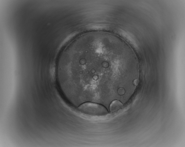 X0000112010016200908101351