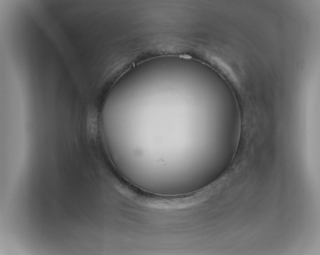 X0000112010017200908101351