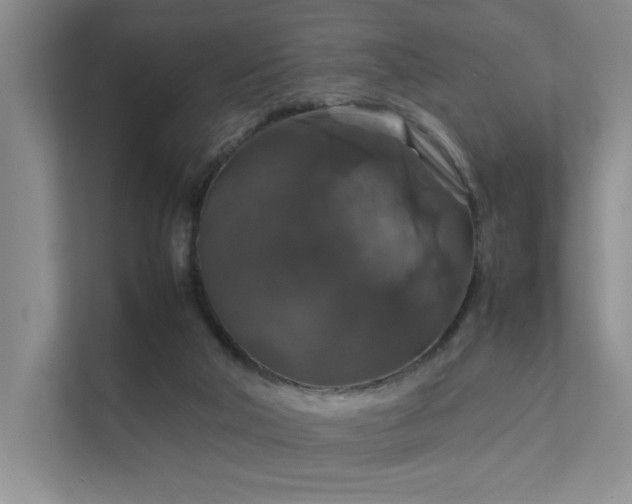 X0000112010018200908101351