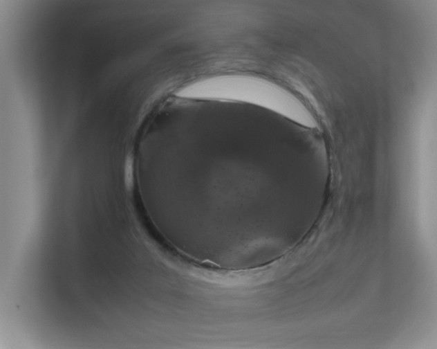 X0000112010019200908101351