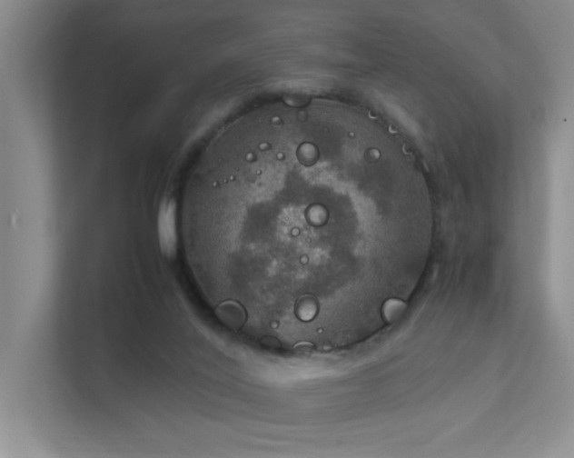 X0000112010020200908101351