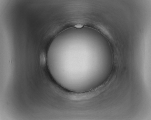 X0000112010021200908101351