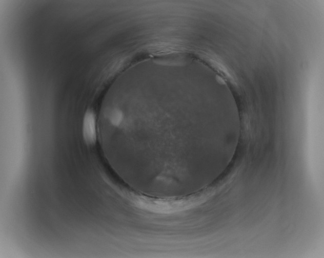 X0000112010022200908101351