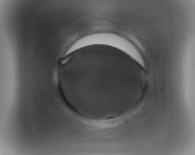 X0000112010023200908101351