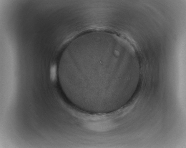 X0000112010024200908101351