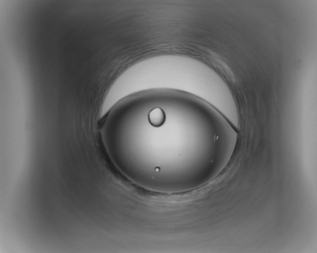 X0000112010025200908101351