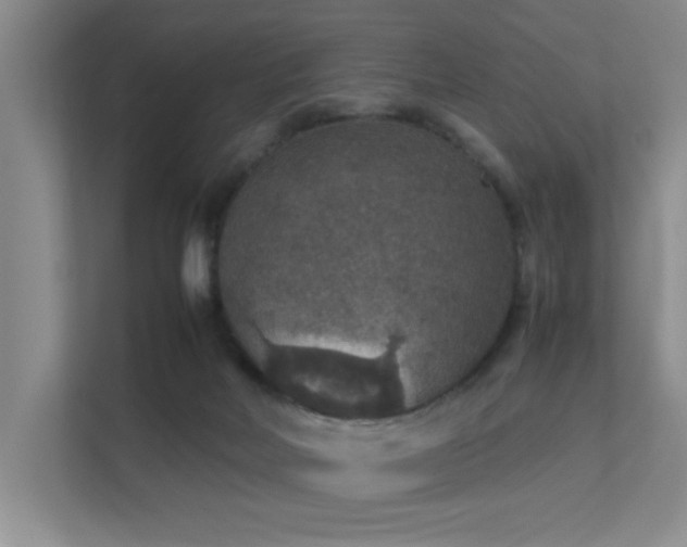 X0000112010026200908101351