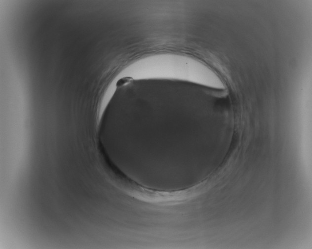 X0000112010027200908101351