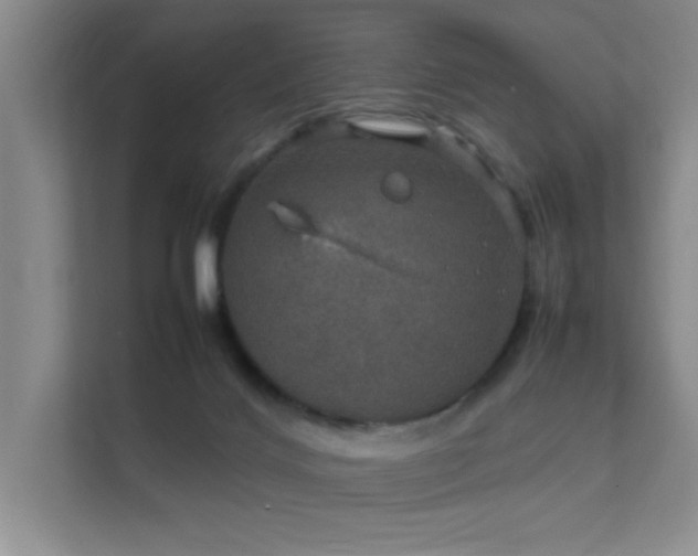 X0000112010028200908101351