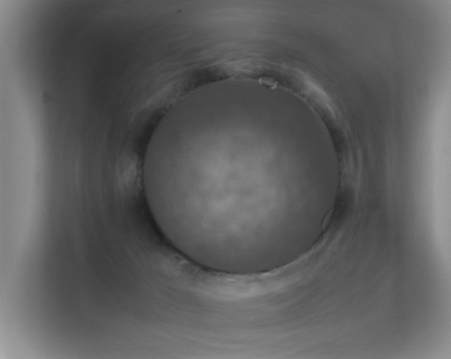 X0000112010029200908101351