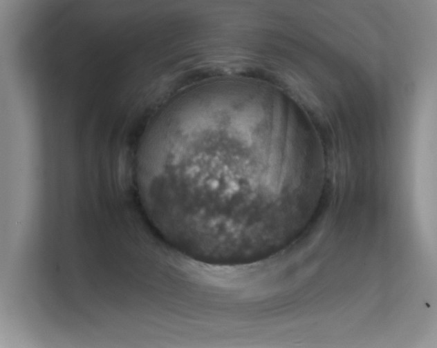 X0000112010030200908101351