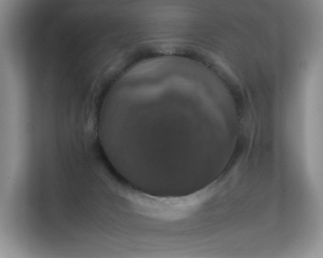 X0000112010031200908101351