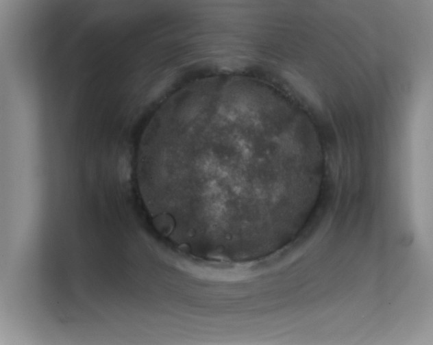 X0000112010032200908101351