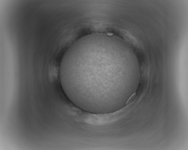 X0000112010033200908101351