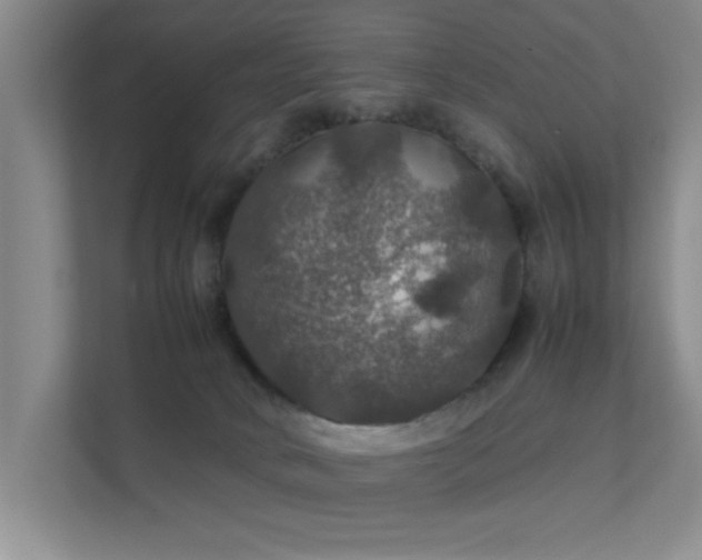 X0000112010034200908101351