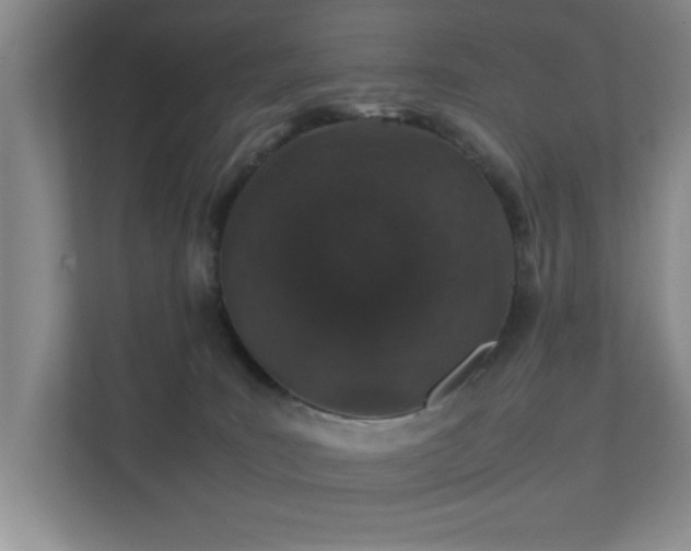 X0000112010035200908101351