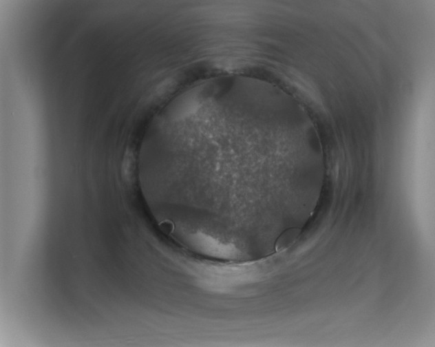 X0000112010036200908101351