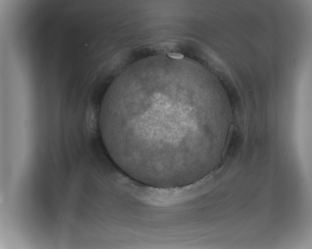 X0000112010037200908101351