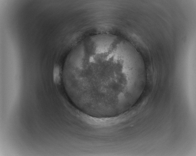 X0000112010038200908101351