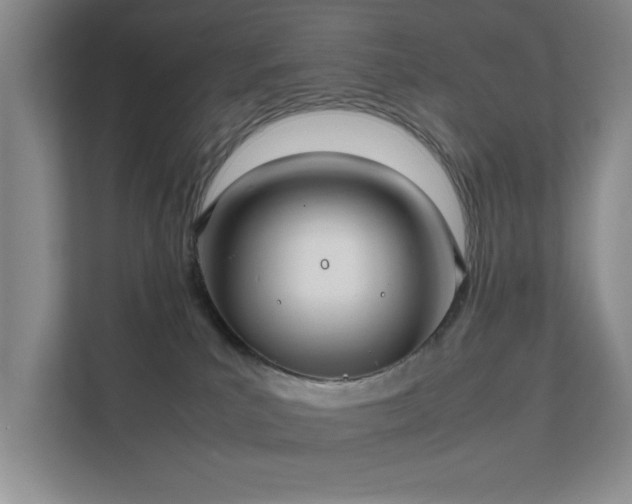 X0000112010039200908101351