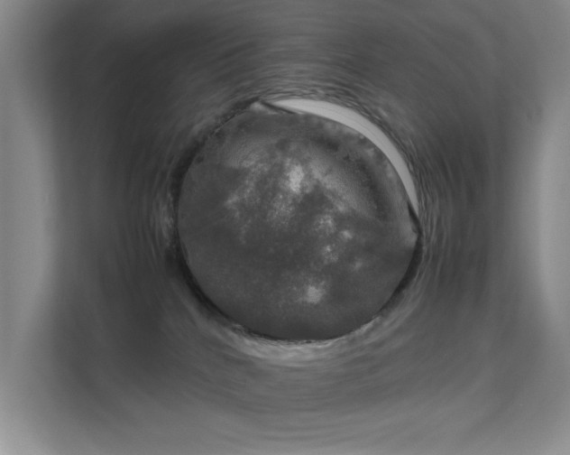 X0000112010040200908101351