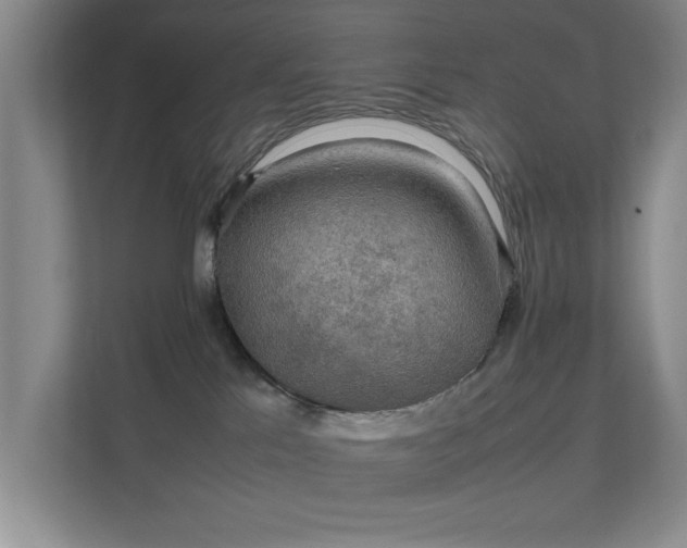 X0000112010041200908101351