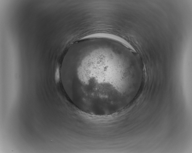 X0000112010042200908101351