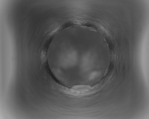 X0000112010043200908101351