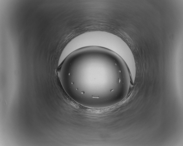 X0000112010045200908101351