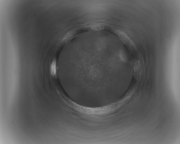 X0000112010046200908101351