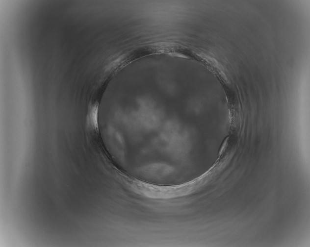 X0000112010047200908101350