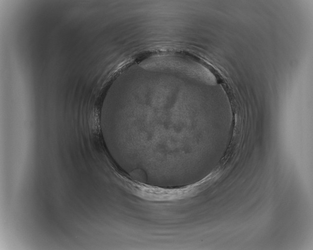 X0000112010048200908101350