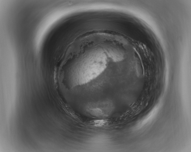 X0000112010050200908101350