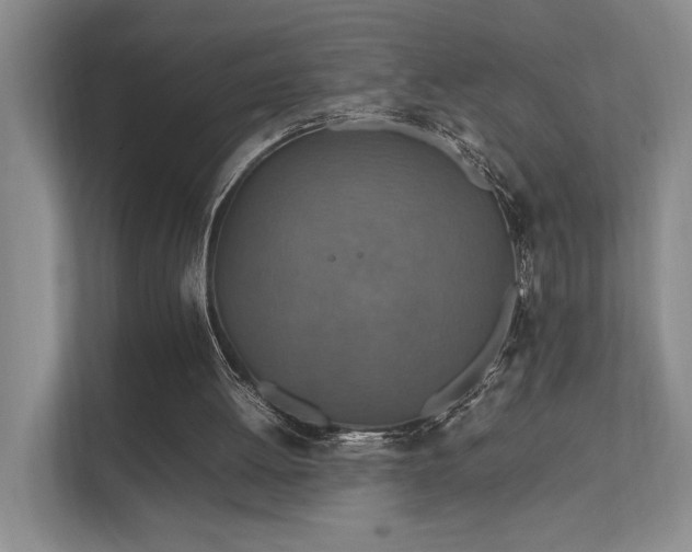 X0000112010052200908101350