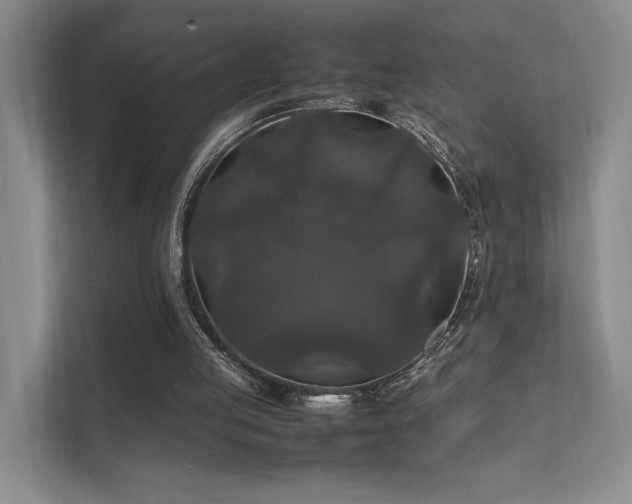 X0000112010053200908101350